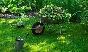 Yard-Cleanup-Services